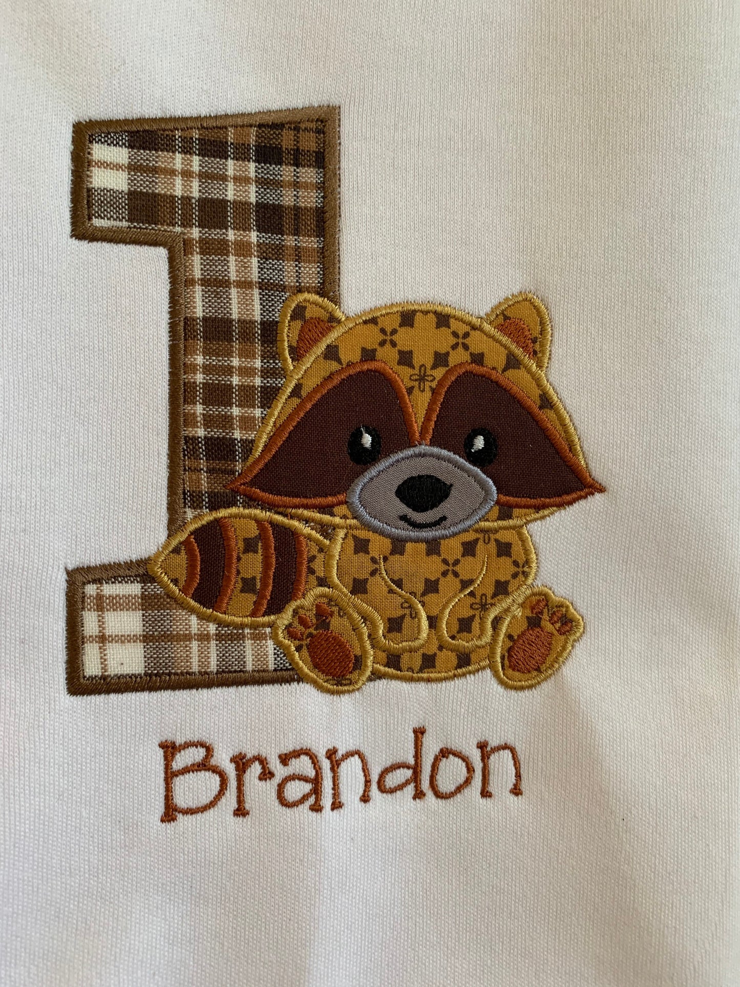 Little Critter Raccoon Embroidered Birthday T-shirt