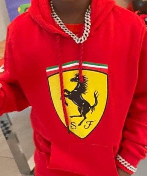 Ferrari Embroidered Hoodie