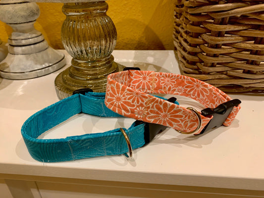 Dog collar spring look