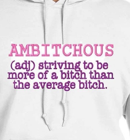 Her Ambitchion Embroidered Hoodie